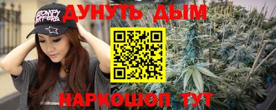 apvp Камышлов