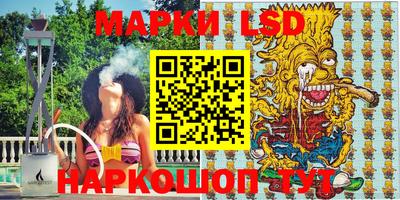 apvp Камышлов