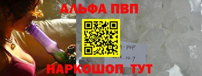 дмт Кингисепп