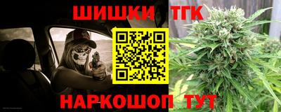 apvp Камышлов
