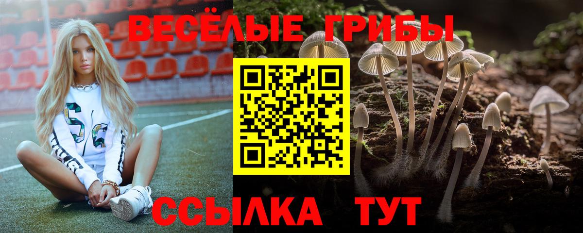 Галлюциногенные грибы Psilocybine cubensis Лесной